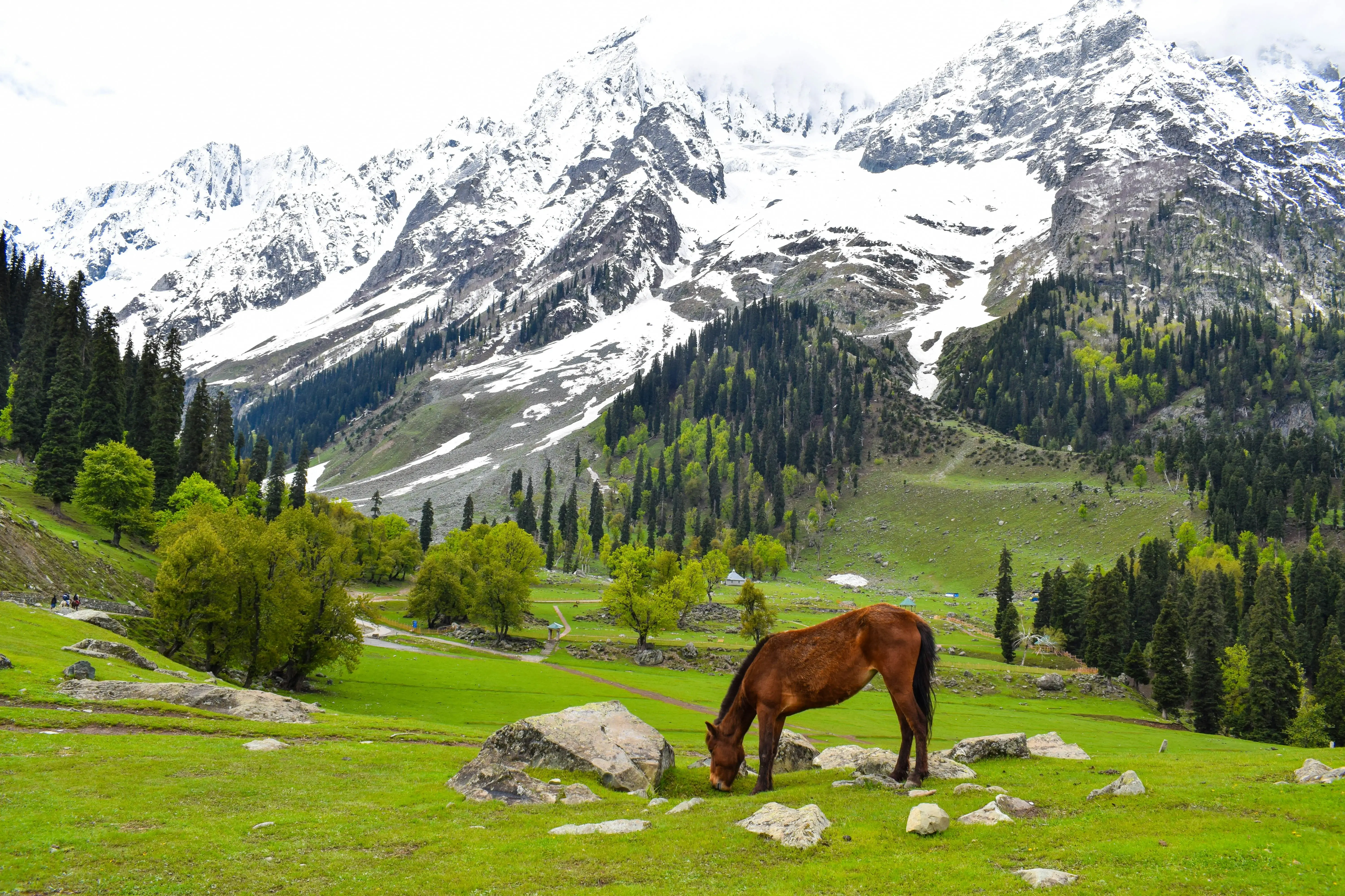 Kashmir tour packages from Travelonn
