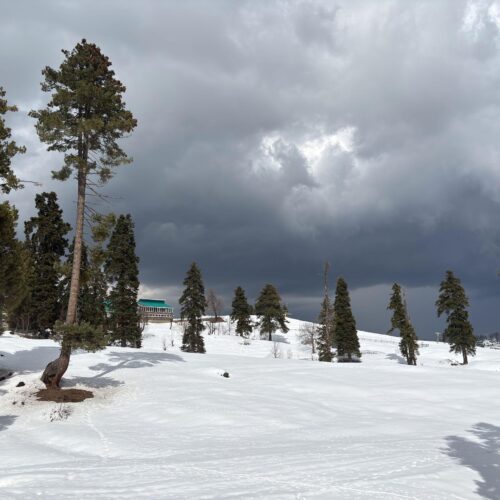 Travel Agency in India offering Kashmir Tour Packages